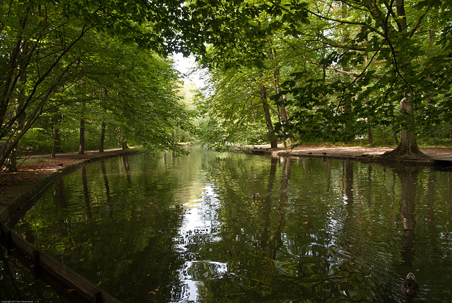 Schlosspark Nymphenburg