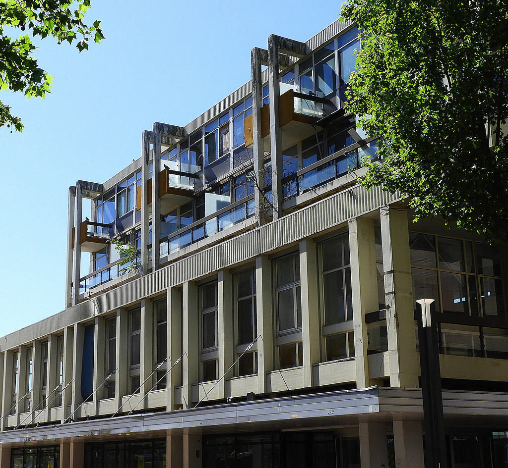 Three Dove's             (IBA Building)