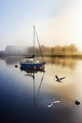 River Leven on a Misty Hogmanay