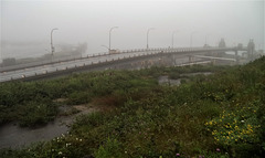 Pont et végétation dans le brouillard