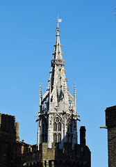 cardiff castle (281)
