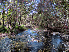 Carmel River