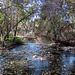 Carmel River