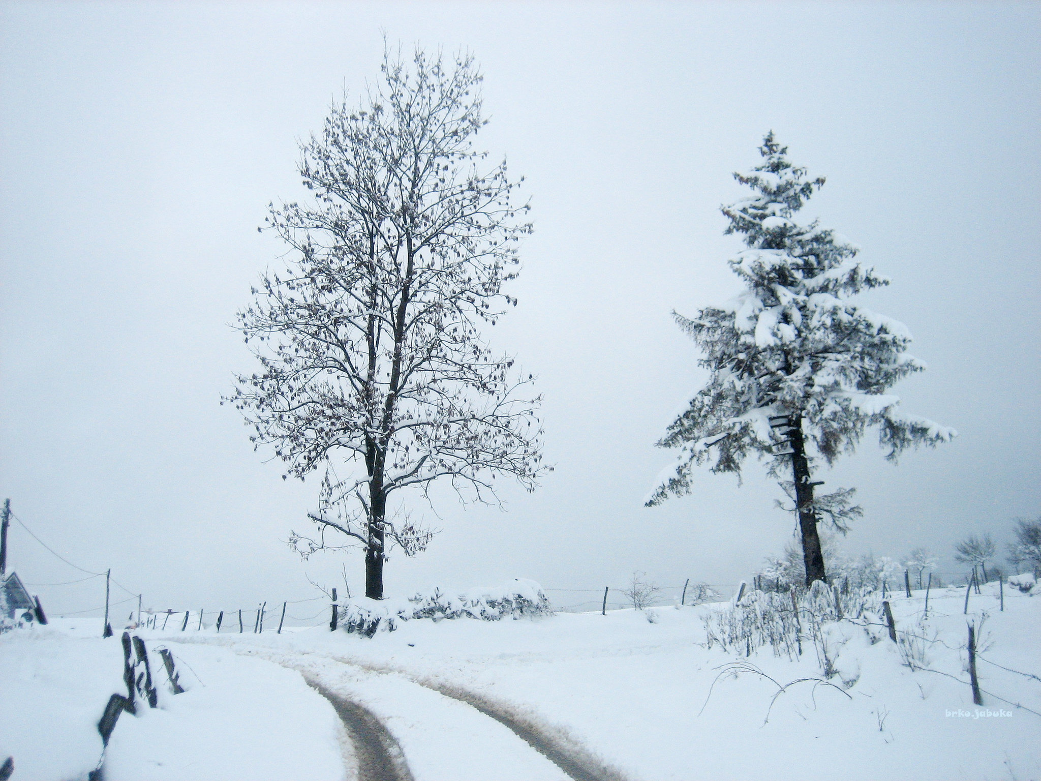 Beginning of a long winter