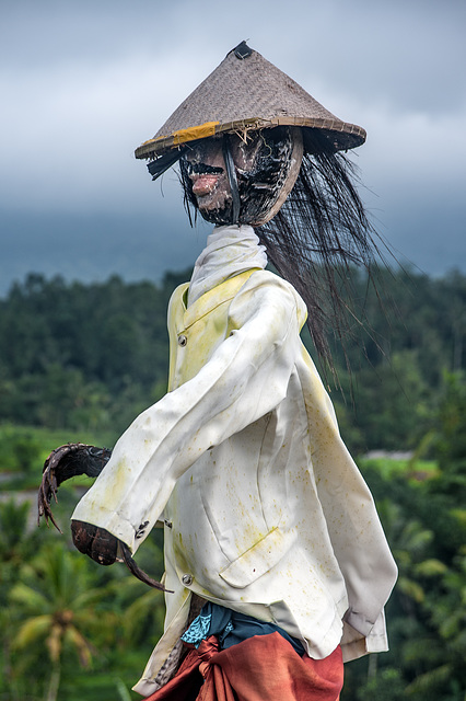 Scarecrow at the Jatiluwih paddy fields