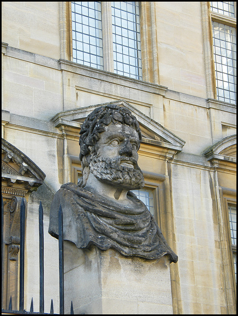 Sheldonian head no.15