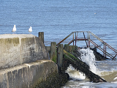 HFF from Cromer