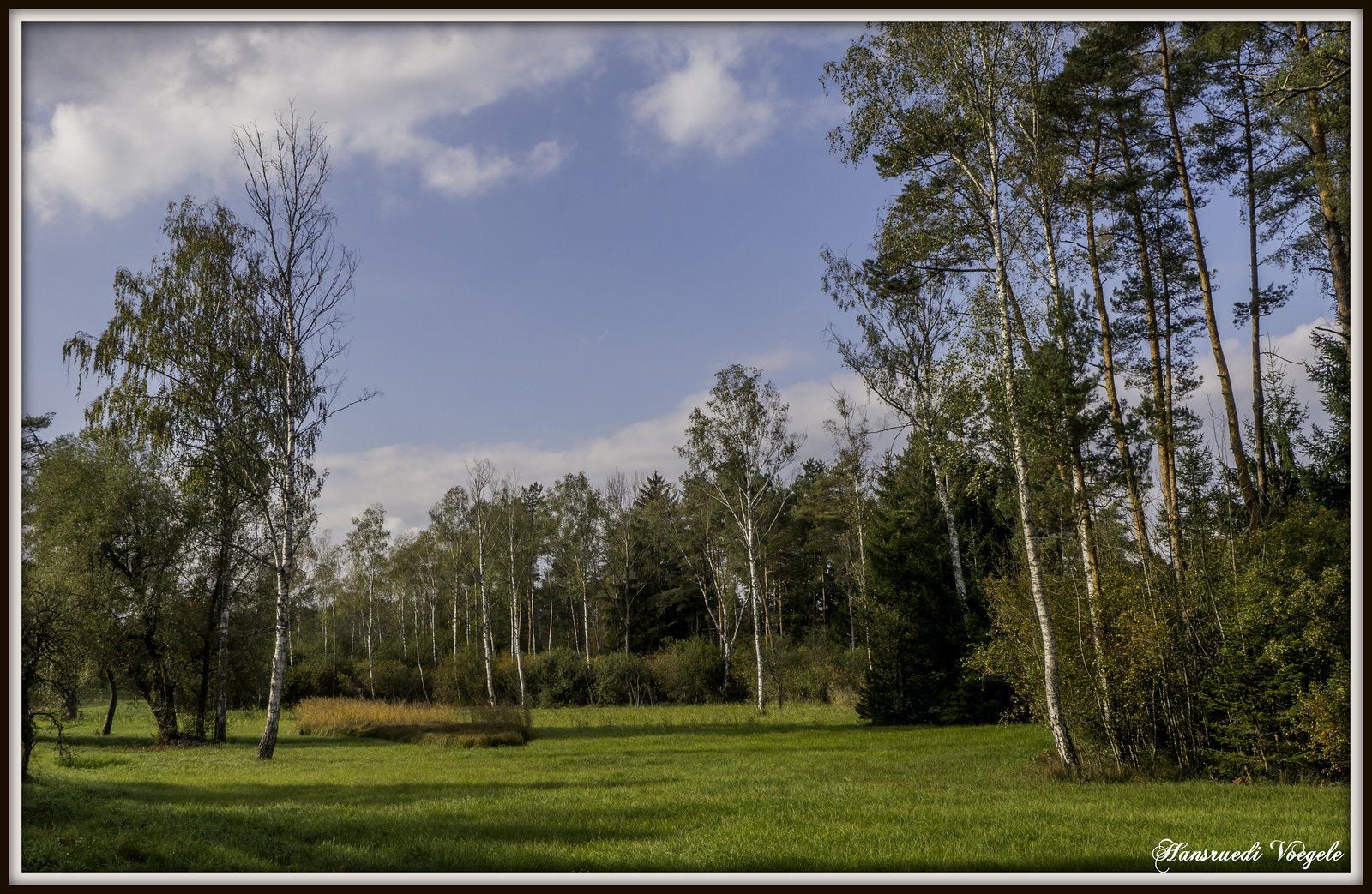 Am Husemer See