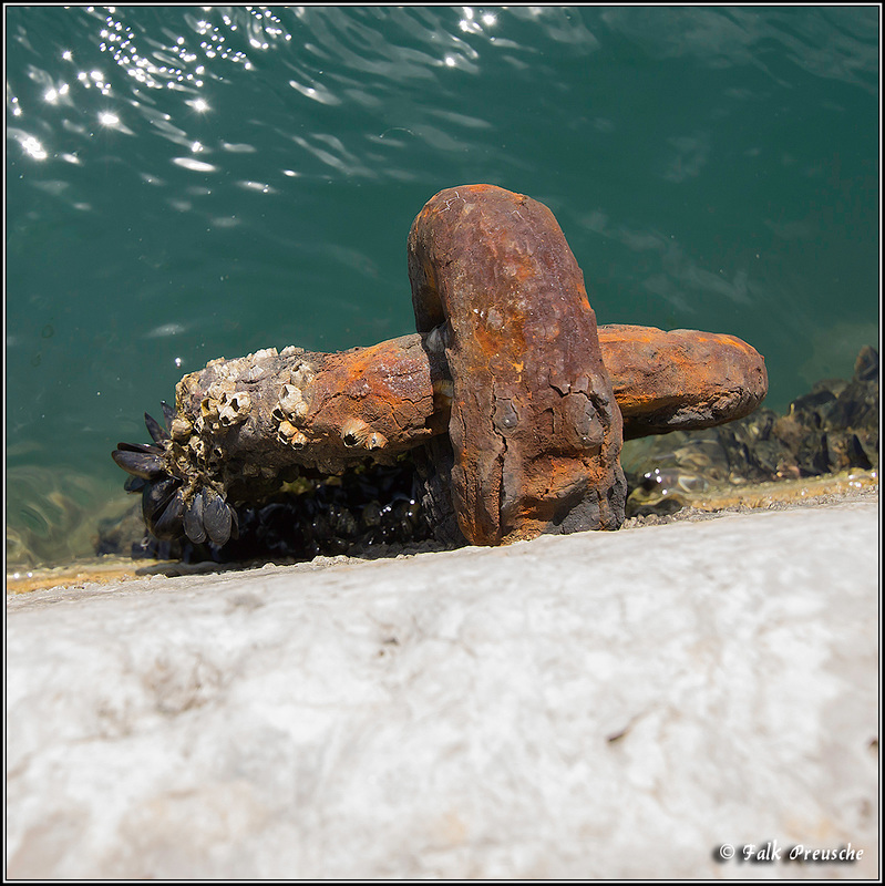 Muschelpark