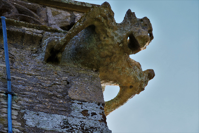 swineshead church, beds