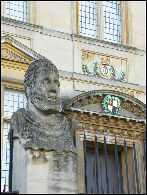 Sheldonian head no.14