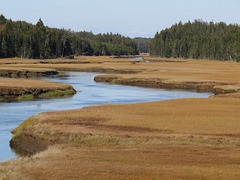 A stream that flows to Cape Enrage