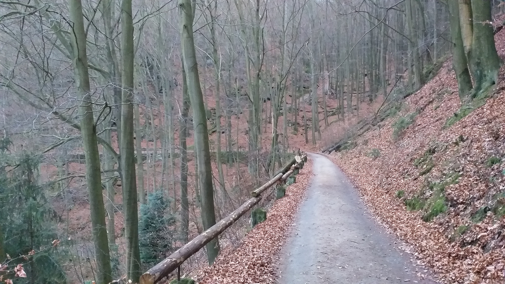 Grenzweg