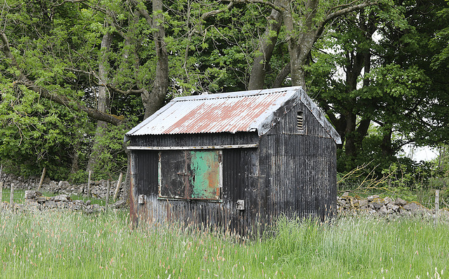 Corrugated in the grass