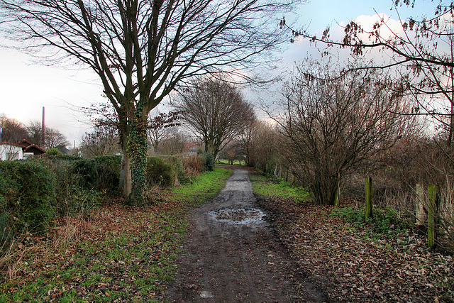 Niederscholvener Weg (Gelsenkirchen-Scholven) / 24.12.2022