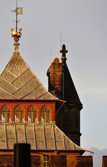 cardiff castle (20)