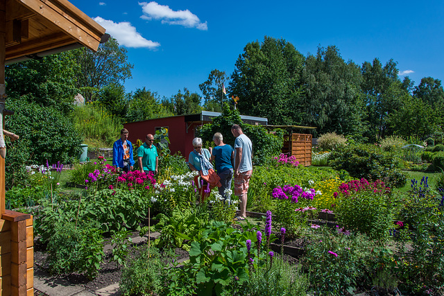 Kleingärten in der Landesgartenschau