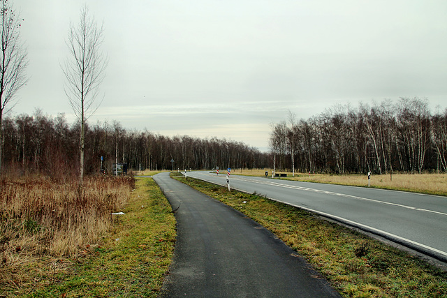 Klöcknerstraße (Castrop-Rauxel-Habinghorst) / 26.12.2019