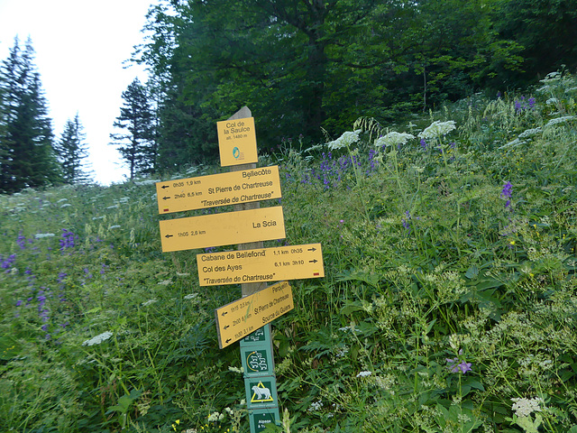 20250701 - 05 Chartreuse St Pierre d'Entremont (229)