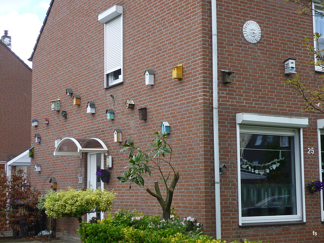 Woningnood?