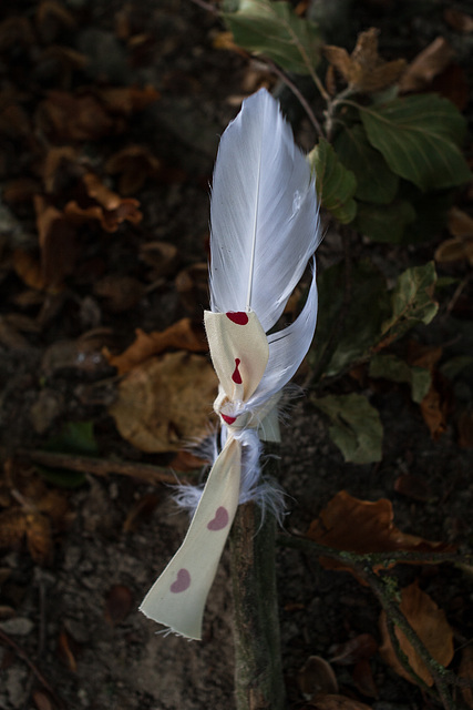 October Votive Offerings, Avebury (5)