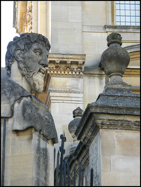 Sheldonian head no.13