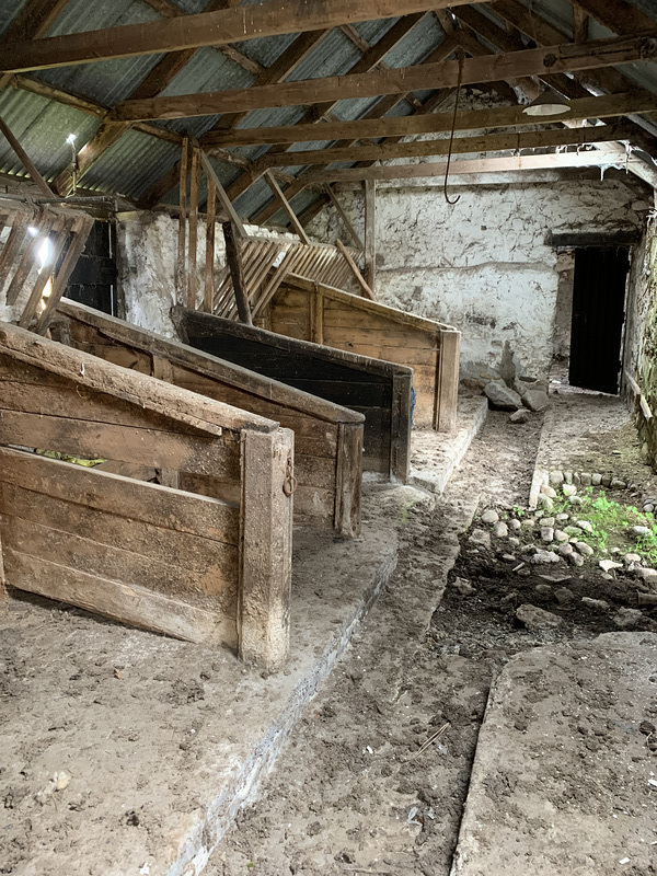 This morning’s 7.25 mile walk with Jet brought us past a deserted farm Steading which Jet insisted had to be investigated. As it had started raining it provided a useful if somewhat fragrant rain shelter. Do you wonder as I did, what the lone chair was