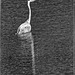 2025-05-13 00036