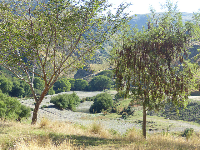 Taieri Gorge Railway (7) - 1 March 2015