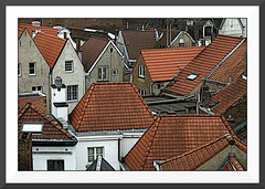 Les toits de Bruxelles IX