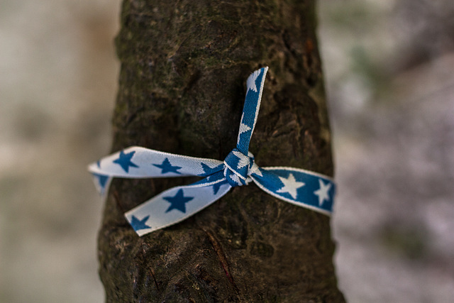 October Votive Offerings, Avebury (6)