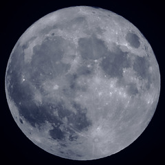 EOS 90D Peter Harriman 18 46 28 48934 blueMoon dpp