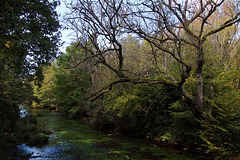 La Conie , une rivière sauvage alimentée par la nappe phréatique de Beauce