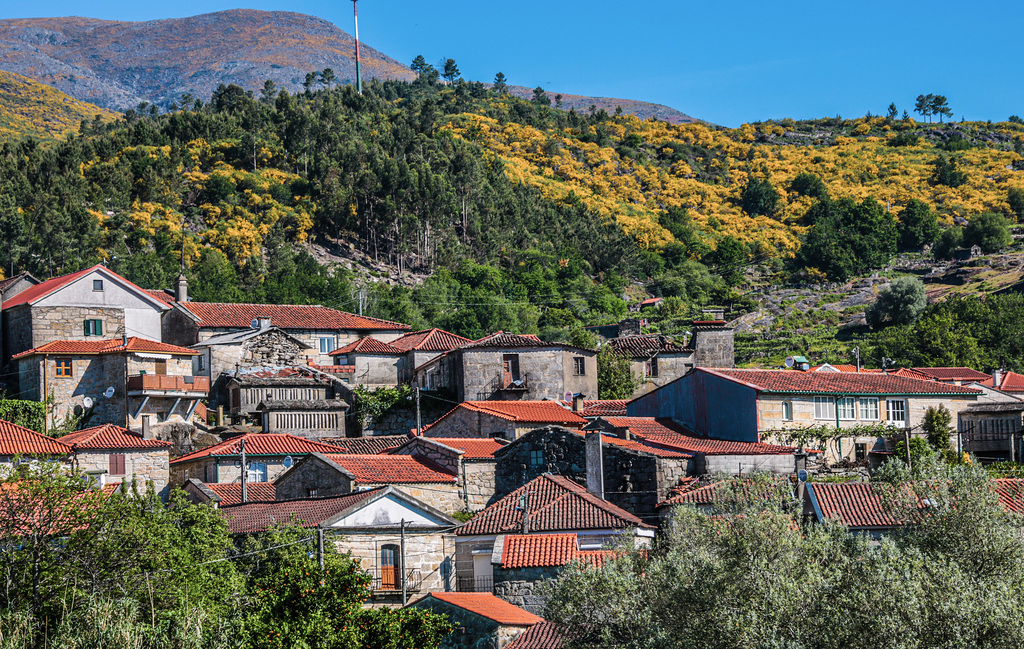 Soajo