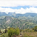 Forêt de Bélouve (974, Ile de la Réunion) 21 novembre 2021.