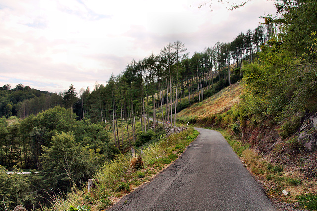 Peddenöder Straße (Ennepetal) / 15.08.2022