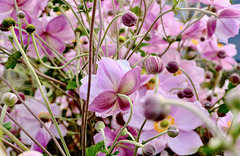 Drunter und drüber Drunter und drüber