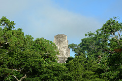 Guatemala, Tikal, Temple IV from the Top of Temple II