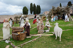 Italy, Christmas Installation at the Piazza Superiore San Francesco in Assisi