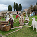 Italy, Christmas Installation at the Piazza Superiore San Francesco in Assisi