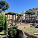 Rome 2025 – Largo di Torre Argentina