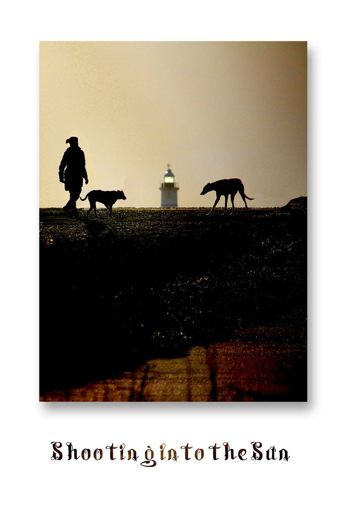 Shooting into the Sun - Tidemills - 13.1.2016