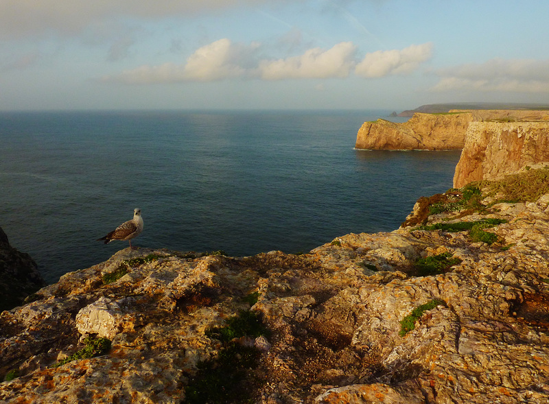 North shore of Cape St. Vincent.
