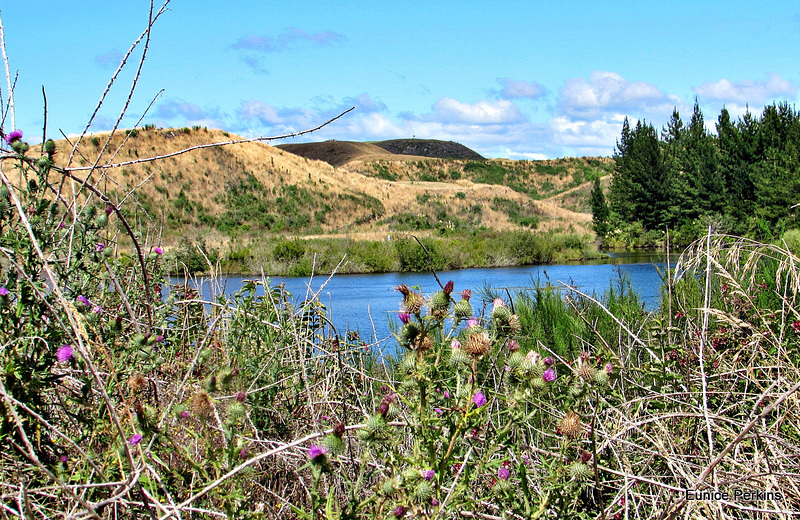 Over the Thistles