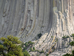 Devils Tower Base