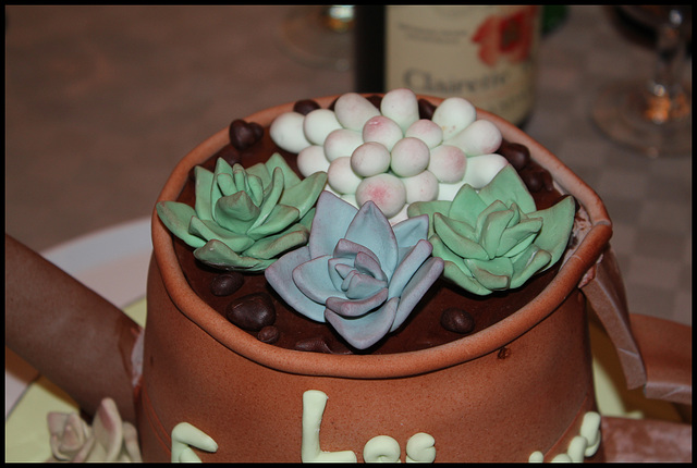 Gâteau des fous jardiniers