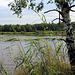 Im Wurzacher Ried (Riedsee)