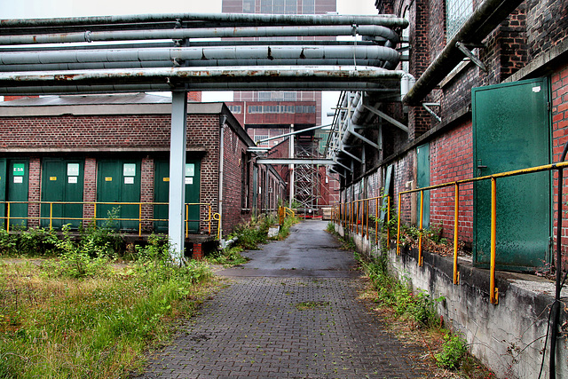 Neben der alten Zentralmaschinenhalle (Zeche Heinrich Robert, Hamm-Wiescherhöfen) / 24.06.2017