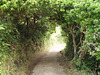 Narrow access to the beach.