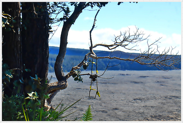 A garland to Pele